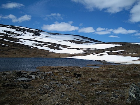 Abisko Juni 2009 dag 4 - 07.jpg